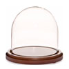 Dome