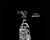 My Gallery: Image